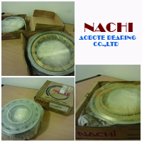 NACHI H-15123/H-15245 Bearing